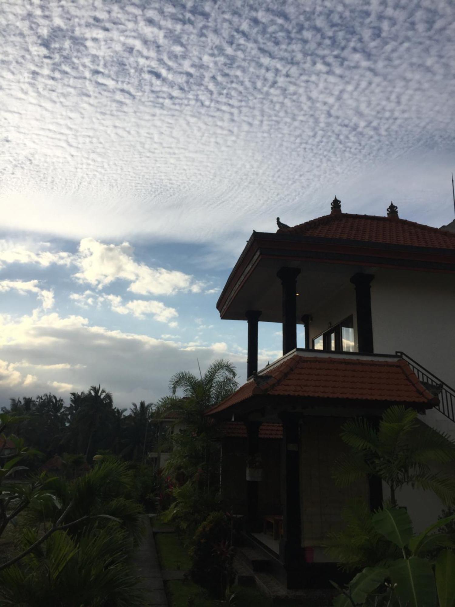 Sari Bungalow Ubud Eksteriør billede
