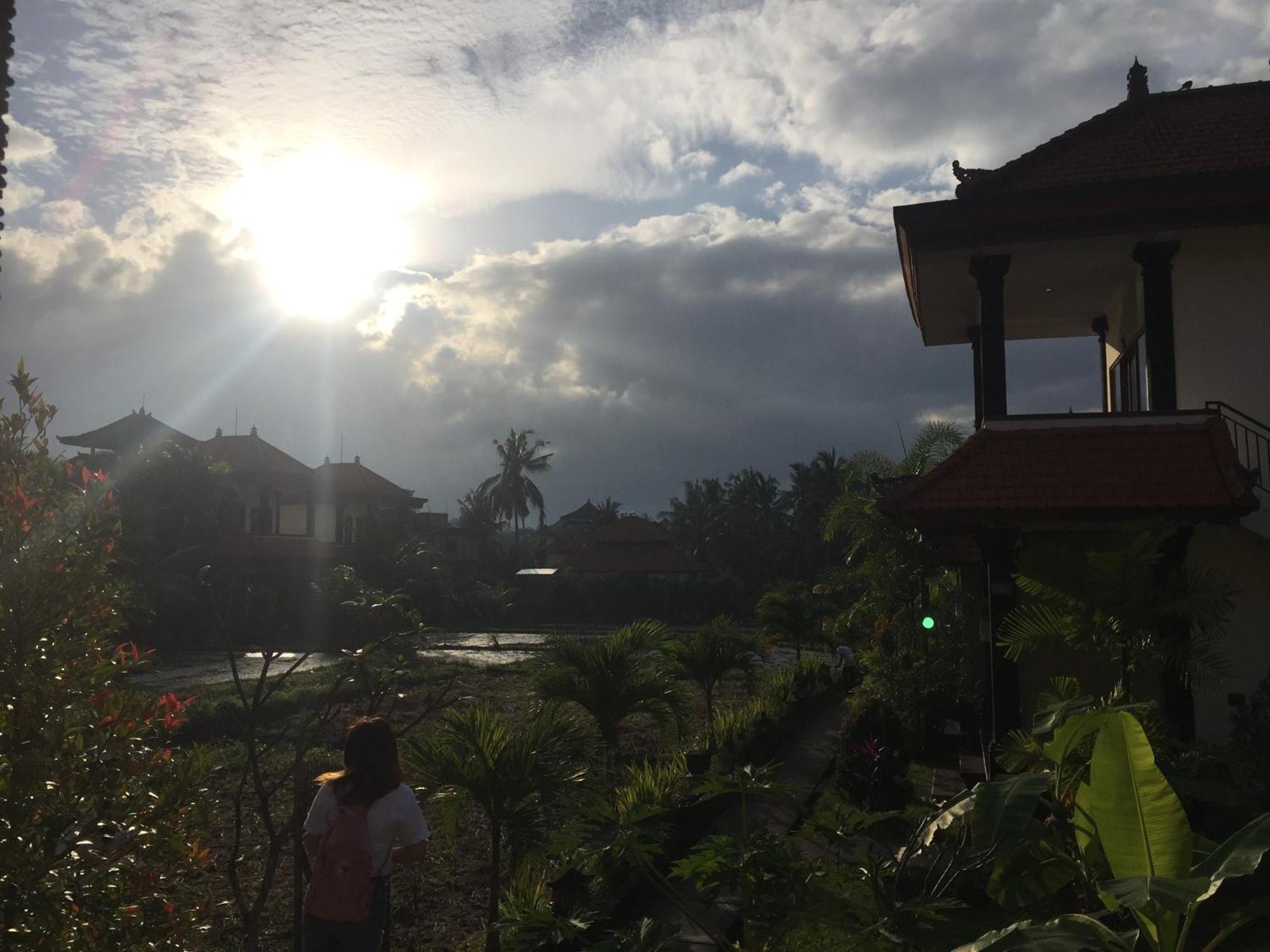 Sari Bungalow Ubud Eksteriør billede