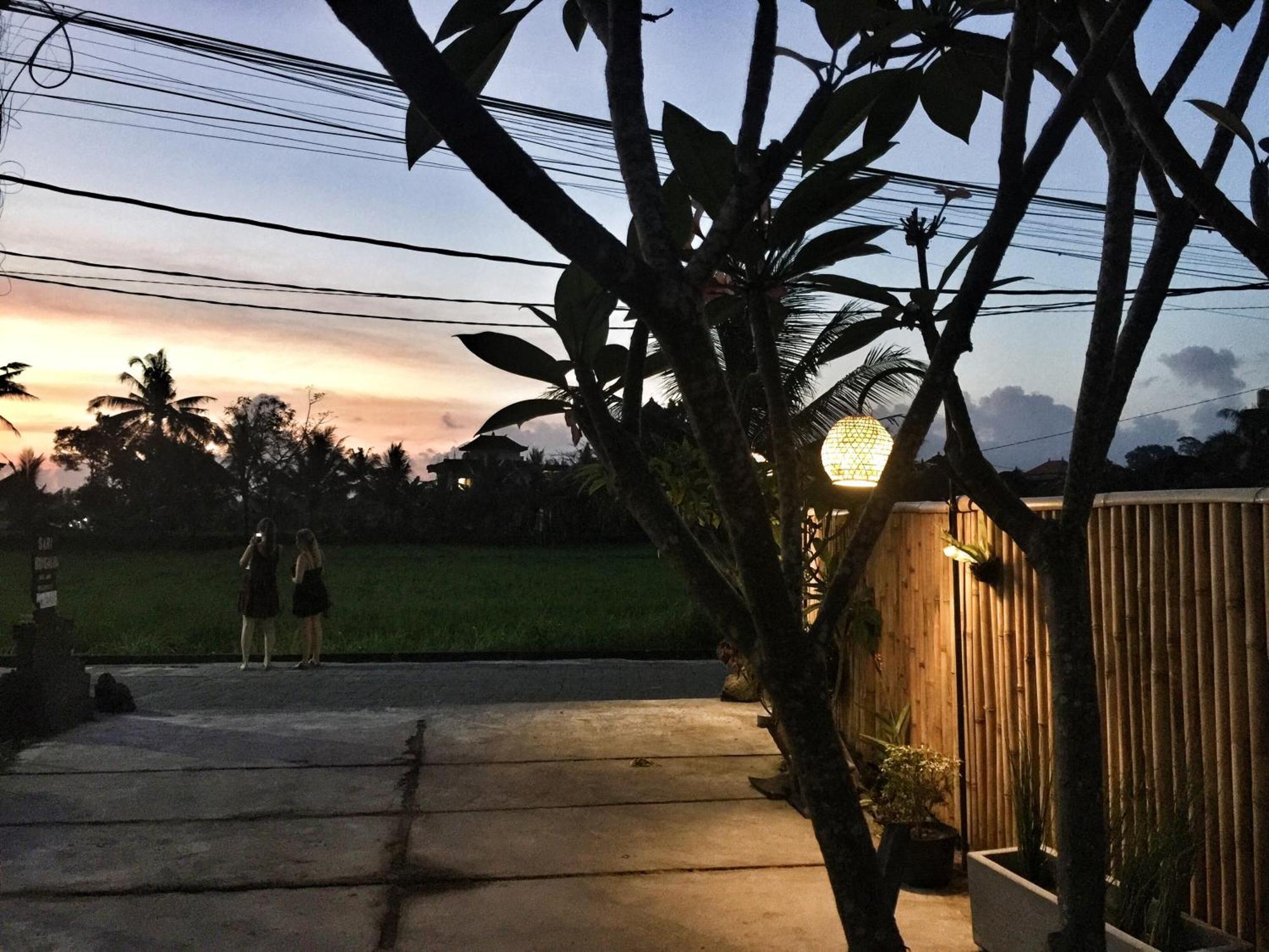 Sari Bungalow Ubud Eksteriør billede